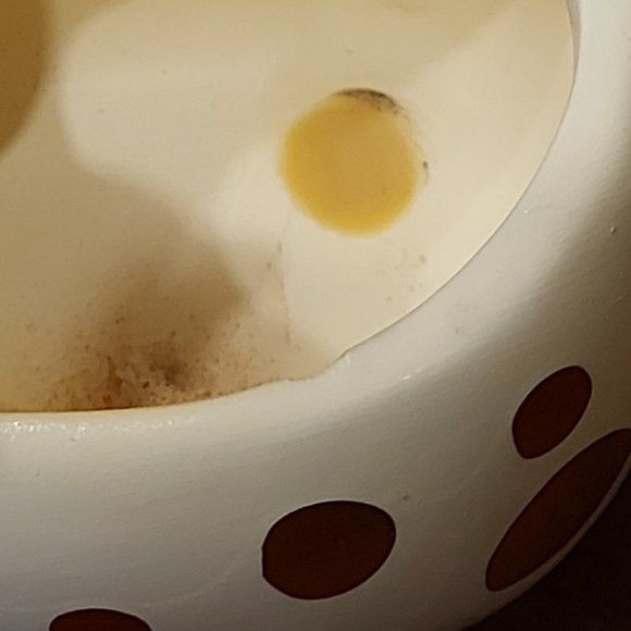 Charmed Aroma Giraffe Candle Holder - Picture 8 of 9